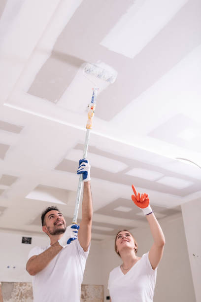 Best Basement Mold Removal  in Unadilla, GA