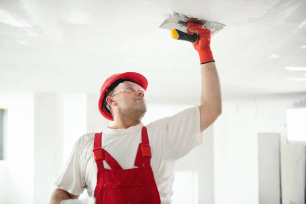 Best Comprehensive Air Testing for Mold Contaminants  in Unadilla, GA