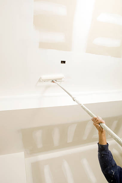 Mold Documentation for Insurance Claims in Unadilla, GA