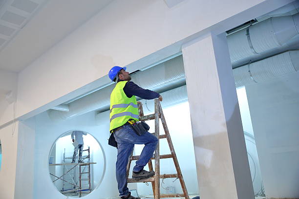 Best Attic Mold Removal  in Unadilla, GA