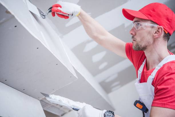 Reliable Unadilla, GA Mold Removal Solutions